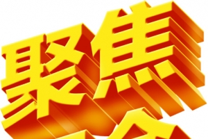 聚焦两会金色立体字党建