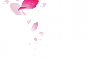 唯美粉红色花瓣