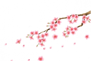 梅花装饰图案