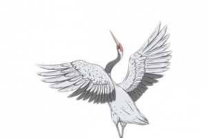 仙鹤亮翅国潮