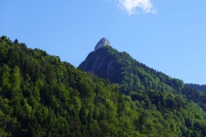 山 树木 森林 风景 4k壁纸 3840x2160