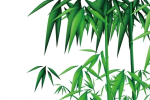 卡通竹子