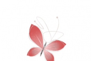 粉色蝴蝶素材