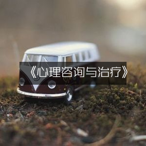 《探索心灵之旅，心理咨询与治疗的深度解析》