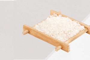精致大米双11促销季简约灰色banner