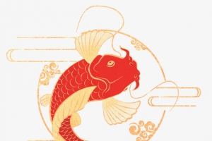 金边中国风吉祥锦鲤鲤鱼