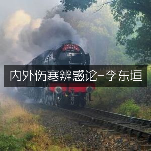 内外伤寒辨析，李东垣《辨惑论》古典文集