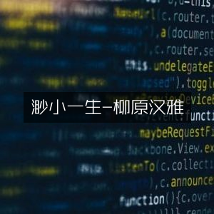 渺小人生，柳原汉雅文学艺术书籍