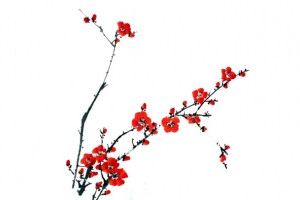 梅花元素