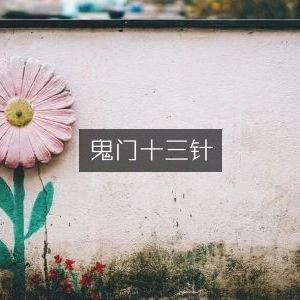 鬼门十三针，神秘针法的奥秘
