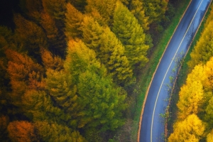 秋天鸟瞰风景 森林 公路 美景 3440x1440 高清 壁纸