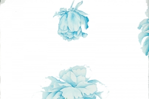 蓝色花朵