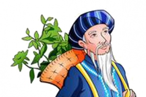 苗族采药老人图片
