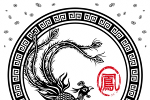 矢量凤求凰