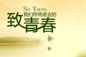 致青春秋季秋景背景banner