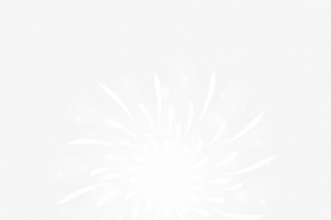 春节白色绽放的烟花
