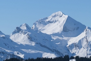 山 雪 斜坡 树木 自然 景观 4k壁纸 3840x2160