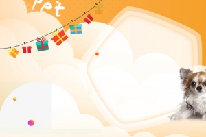 可爱橙色宠物店促销banner