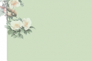 春季上新文艺几何绿banner