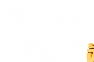 金属发光字节日双12