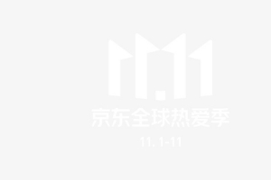 2020京东11.11 ICON