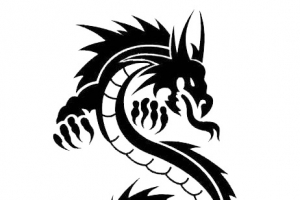 一条黑龙