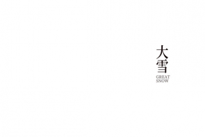 冬季大雪雪花鸟湖面船