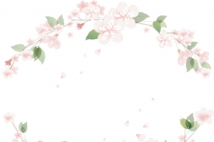 粉色花卉边框