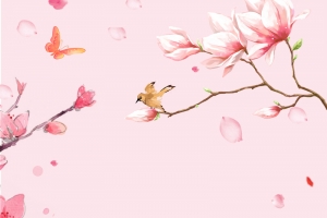 三生三世十里桃花