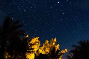 棵树 星空 夜晚 星星 深色 4k壁纸 3840x2160