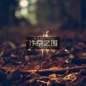 汴京之围，深入探索历史文化的经典书籍