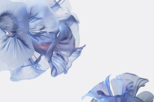 华为Mate Book Fold内置4K高清壁纸 3D艺术花朵