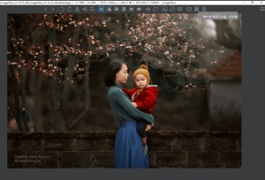 轻量级看图神器，ImageGlass v8.1.4.18绿色便携版，轻松畅享图片浏览新体验