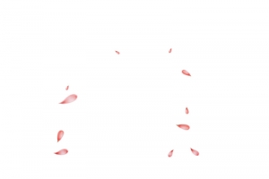 粉红桃花