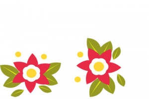 可爱花瓣