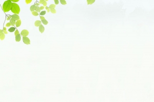绿色清新草原背景图片