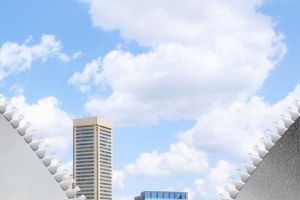 世界防结核病日灰暗公告背景图