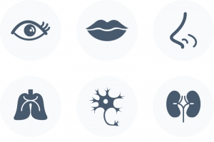 人体器官图标高清PNG透明免扣设计素材免费下载