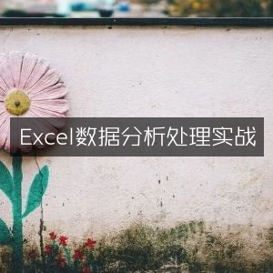 Excel数据分析与处理实战技巧