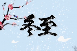 卡通冬至二十四节气传统节日