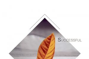 菱形创意企业文化蚂蚁图标