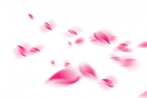花瓣