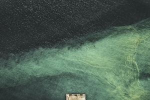 深海 绿色 恐惧 摄影