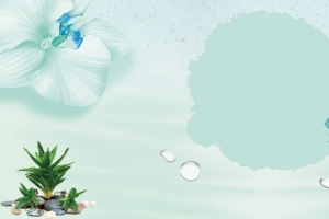 芦苇简约蓝色化妆品自然banner