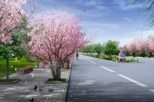 花瓣飘落樱花季海报背景素材