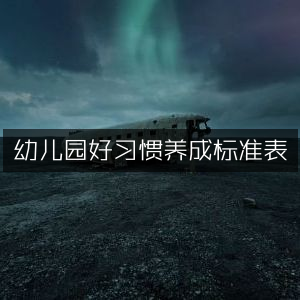 幼儿园习惯培养达标指南表