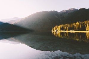 山水倒影 树林 湖泊 静止湖水 4k风景壁纸