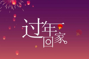 过年回家过大年大拜年春节
