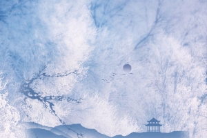 简约冬季景色海报