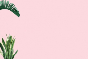 火烈鸟粉色简约banner